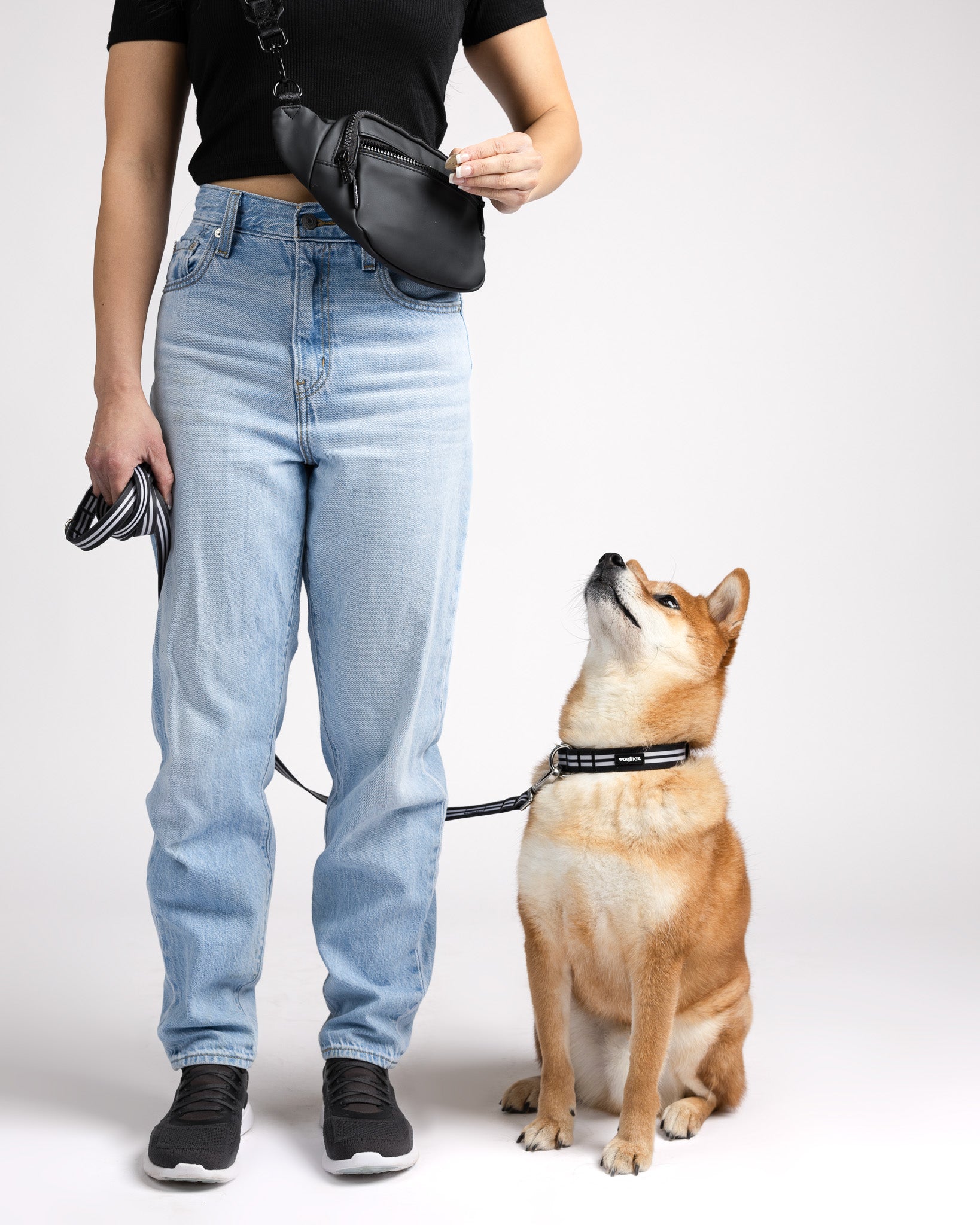 Water-Resistant Dog Walking Bag - Woofpack – Woofnox