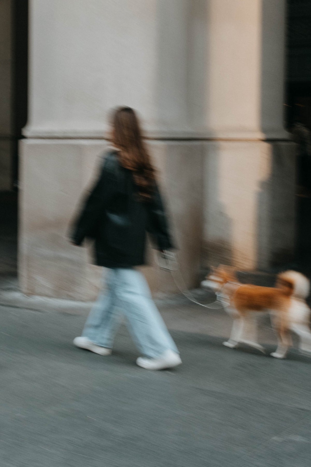 Walking a dog on the street, motion blur
